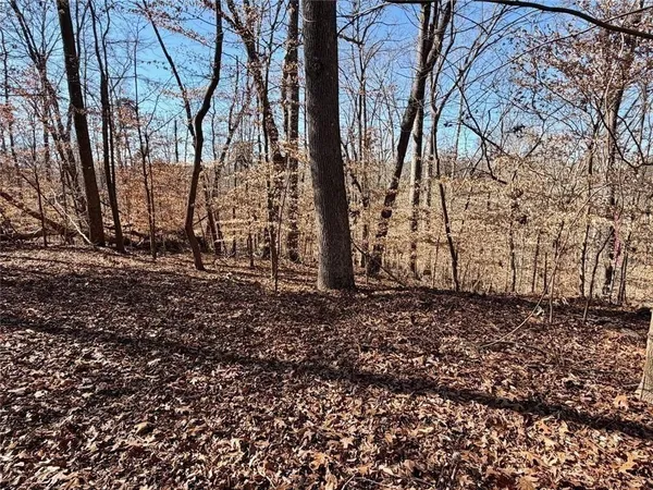 a view of a backyard of the house