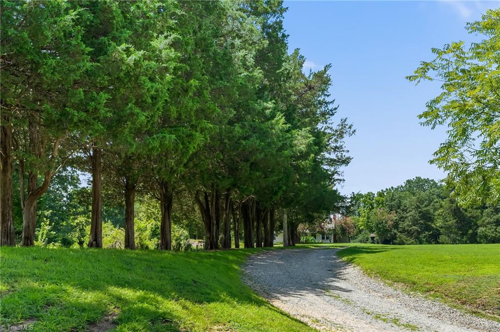 3433 Rolling Road High Point, NC 27265 - Photo 4 of 34