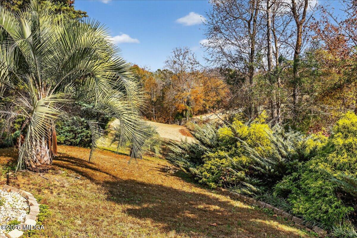 518 River Overlook Forsyth, GA 31029 - Photo 67 of 96 a view of yard
