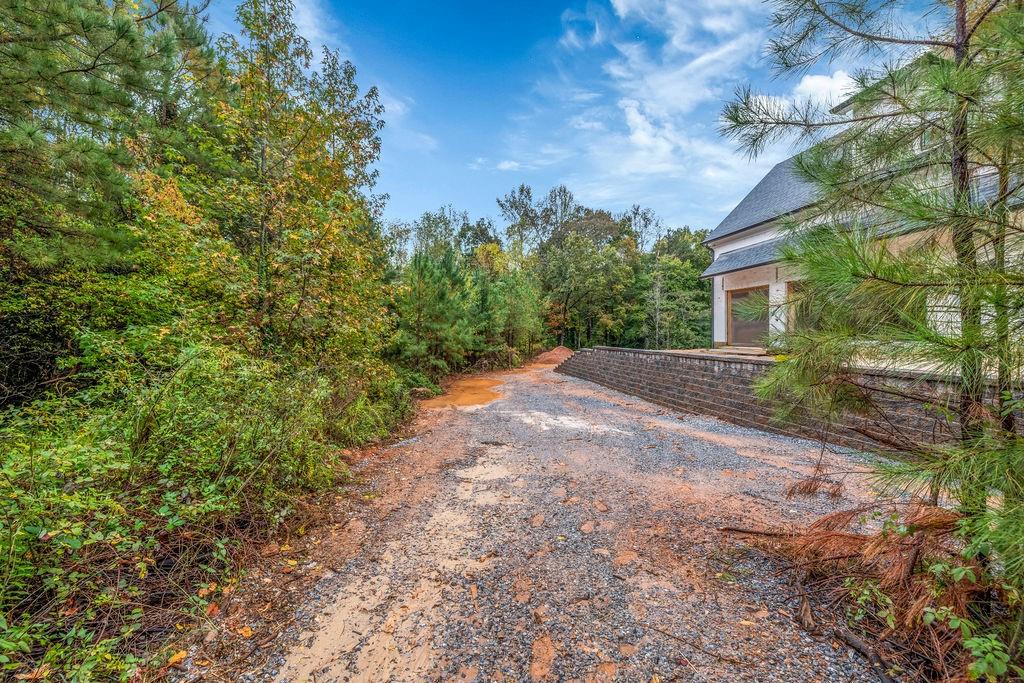 5150 Timber Ridge Road Marietta, GA 30068 - Photo 20 of 24 a view of a yard with plants and trees