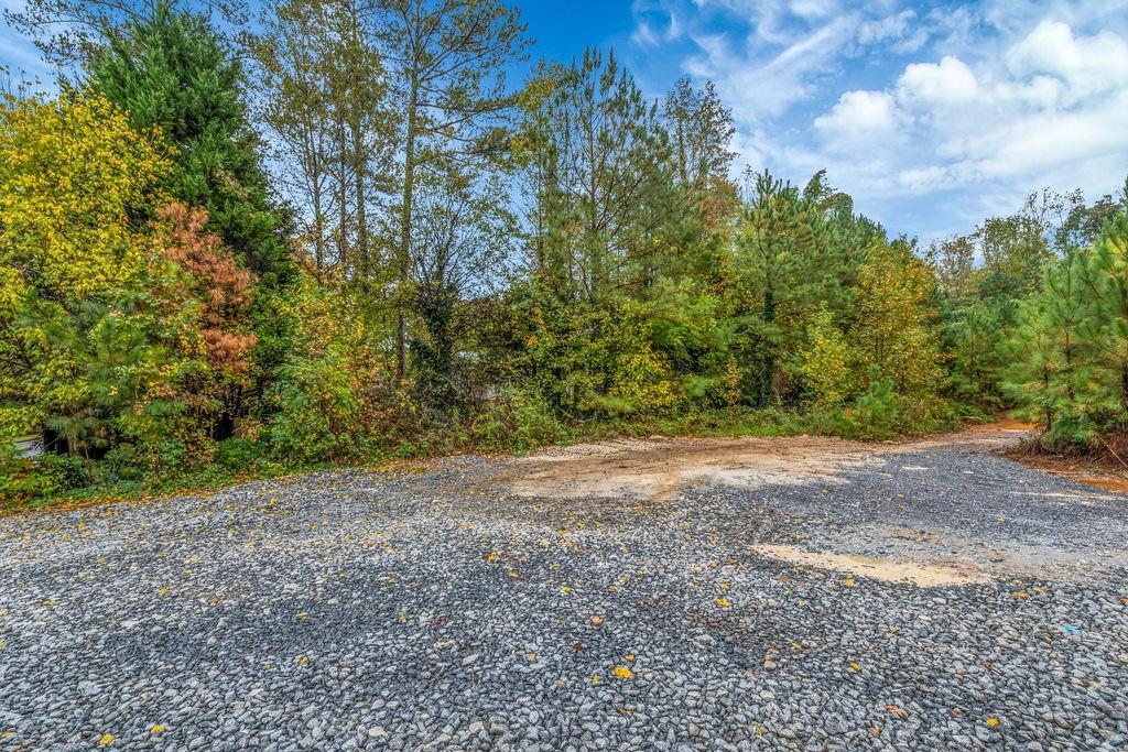 5150 Timber Ridge Road Marietta, GA 30068 - Photo 21 of 24 a view of a yard with a tree
