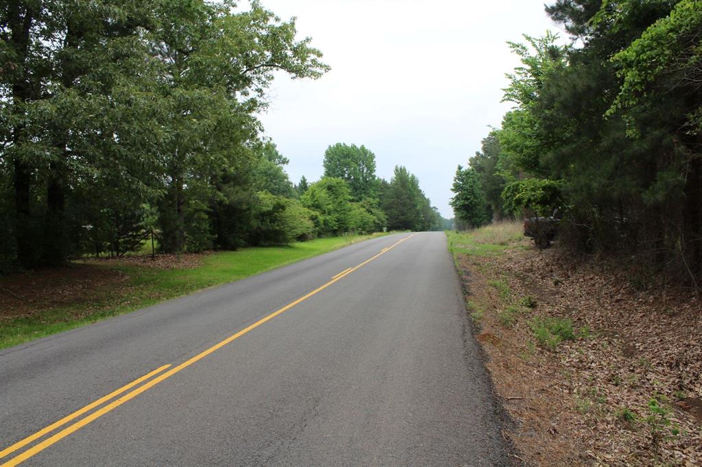 0 Mott Road Plain Dealing, LA 71064 - Photo 6 of 6