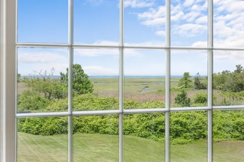 a view of a backyard with plants and large trees