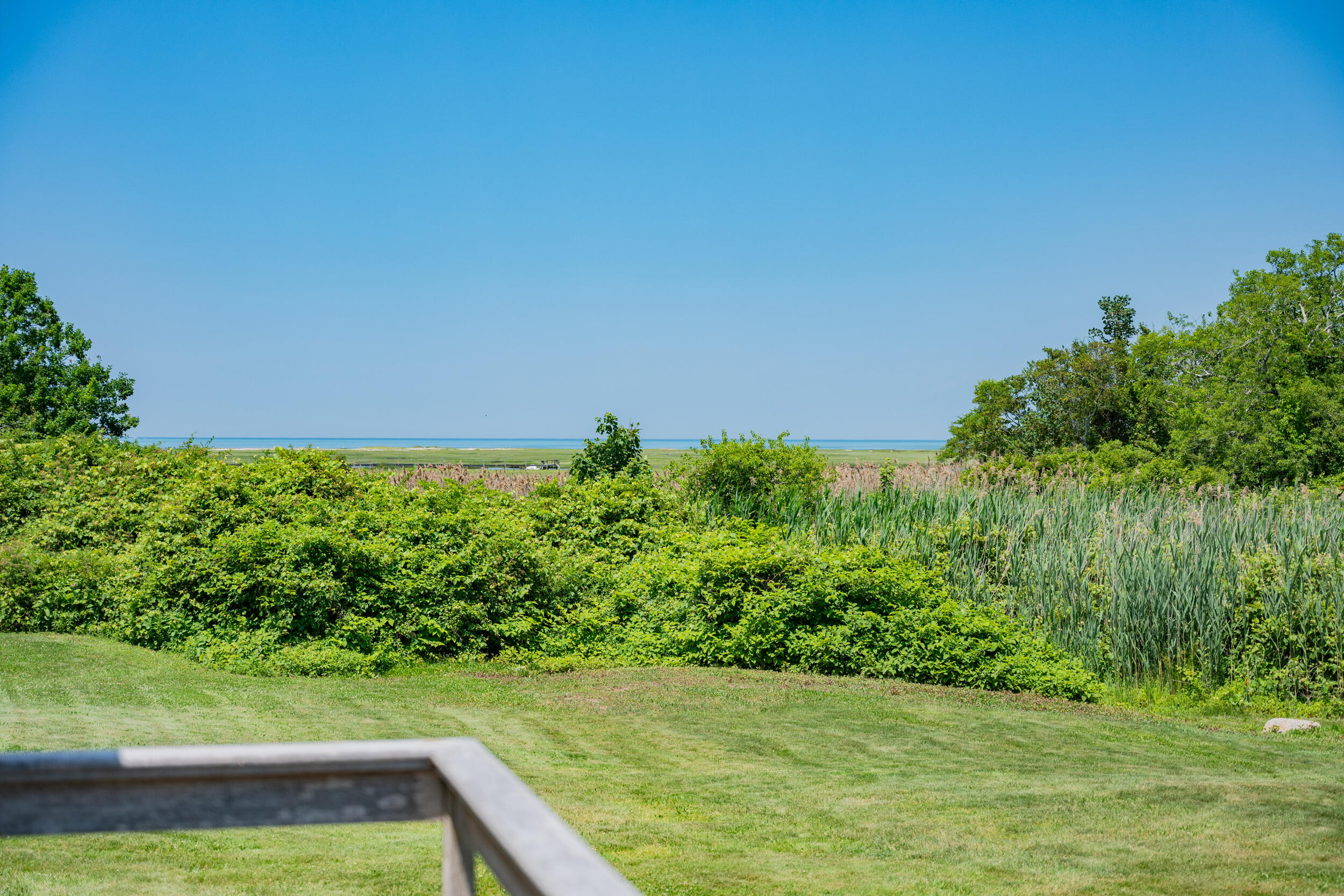 56 Wharf Lane Yarmouth Port, MA 02675 - Photo 64 of 71 a view of a yard with a trees