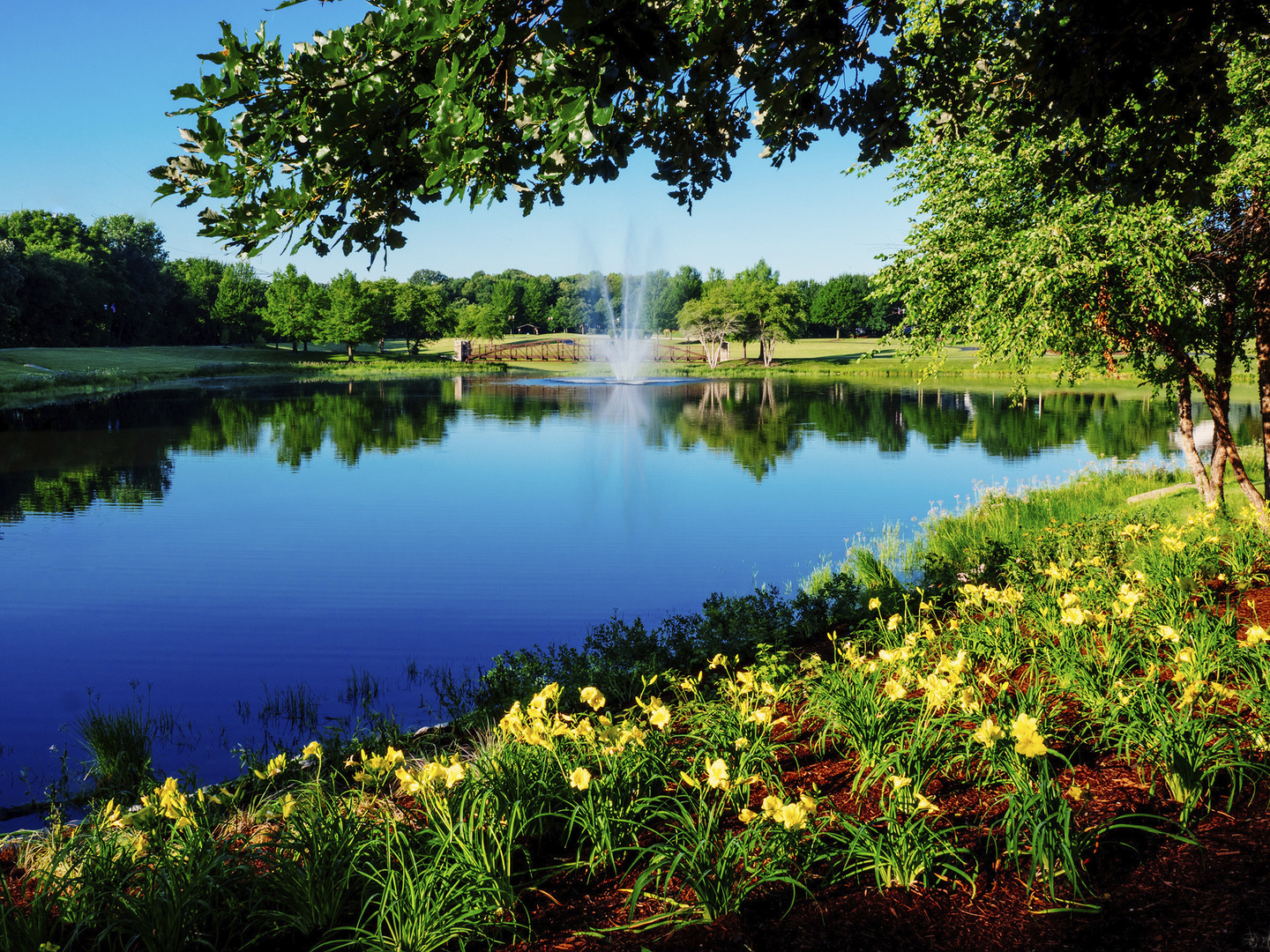 16228 Longcommon Lane Plainfield, IL 60586 - Photo 20 of 21 a view of a lake with a house in the background