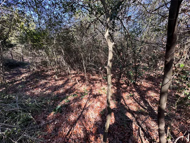 $85,000 | Lot 15 Alta Vista Drive, Bastrop, TX 78602