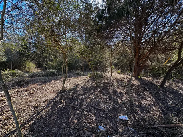$85,000 | Lot 15 Alta Vista Drive, Bastrop, TX 78602