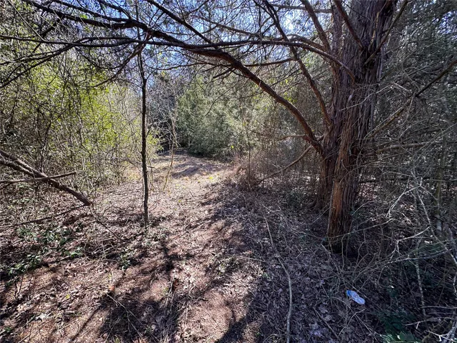 $85,000 | Lot 15 Alta Vista Drive, Bastrop, TX 78602