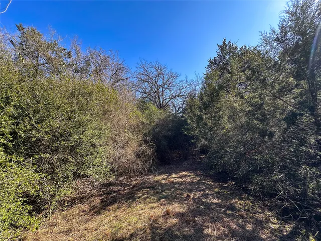 $85,000 | Lot 15 Alta Vista Drive, Bastrop, TX 78602