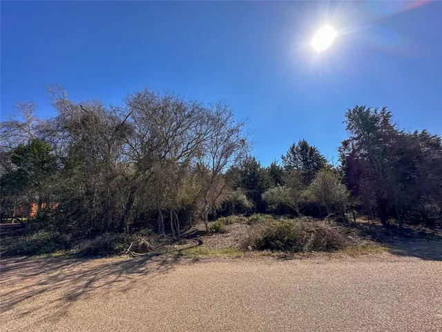 $85,000 | Lot 15 Alta Vista Drive, Bastrop, TX 78602