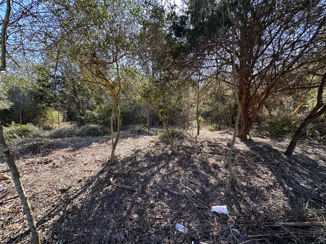 $85,000 | Lot 15 Alta Vista Drive, Bastrop, TX 78602