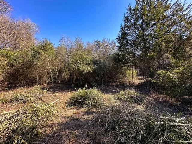 $85,000 | Lot 15 Alta Vista Drive, Bastrop, TX 78602