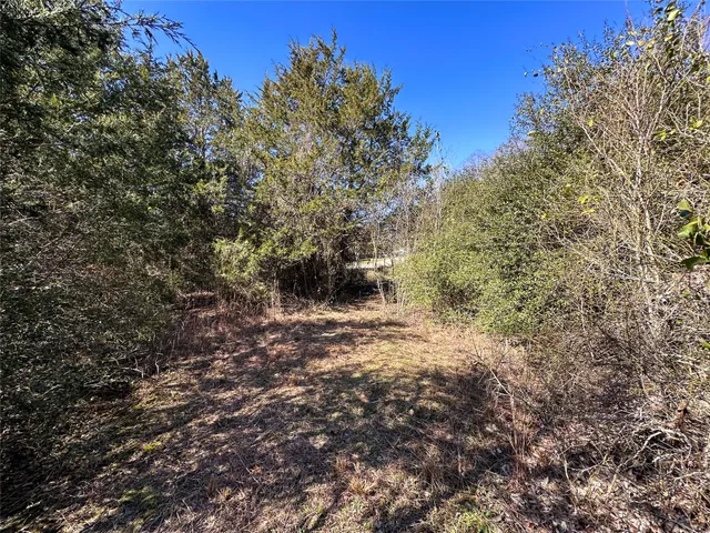 $85,000 | Lot 15 Alta Vista Drive, Bastrop, TX 78602