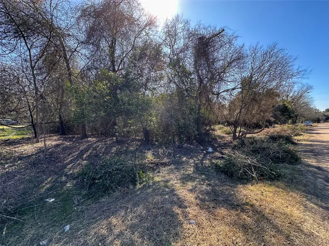 $85,000 | Lot 15 Alta Vista Drive, Bastrop, TX 78602