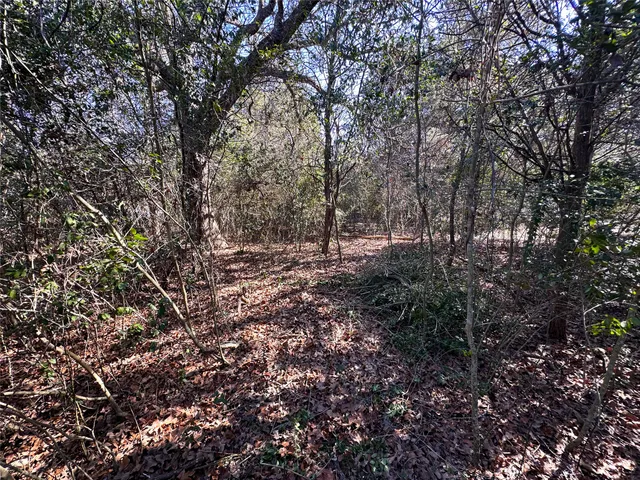 $85,000 | Lot 15 Alta Vista Drive, Bastrop, TX 78602