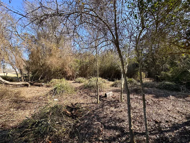 $85,000 | Lot 15 Alta Vista Drive, Bastrop, TX 78602