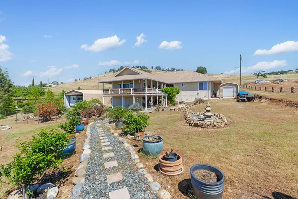 a view of a yard with an tree