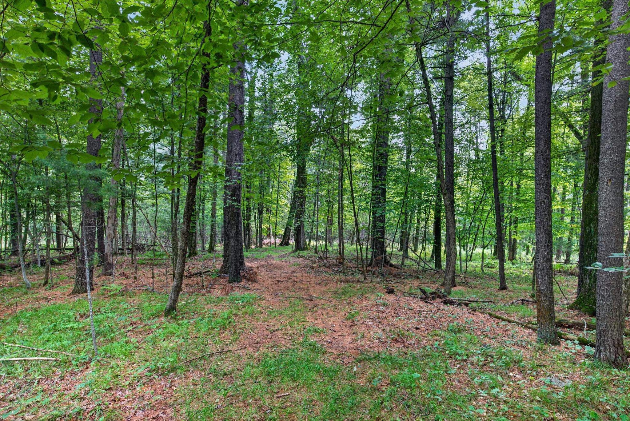 641 Seneca Road Port Edwards, WI 54469 - Photo 54 of 57 Gallery Image 54