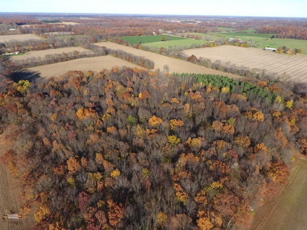 10725 Fowler Road Hanover, MI 49241 - Photo 2 of 11 DJI_0008