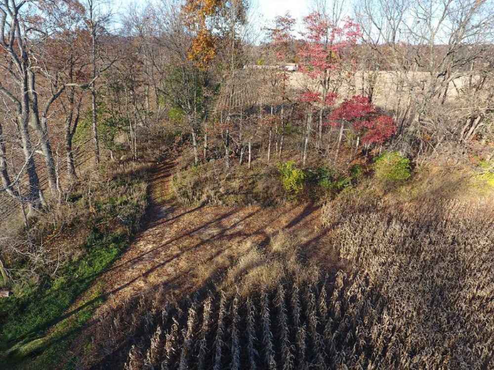 10725 Fowler Road Hanover, MI 49241 - Photo 5 of 11 DJI_0011