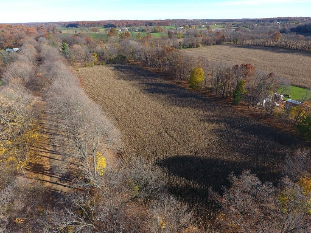 10725 Fowler Road Hanover, MI 49241 - Photo 8 of 11 DJI_0014