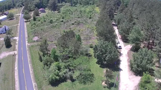 a view of a forest with a houses