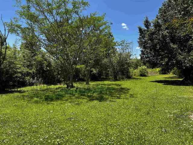 a view of a garden with trees