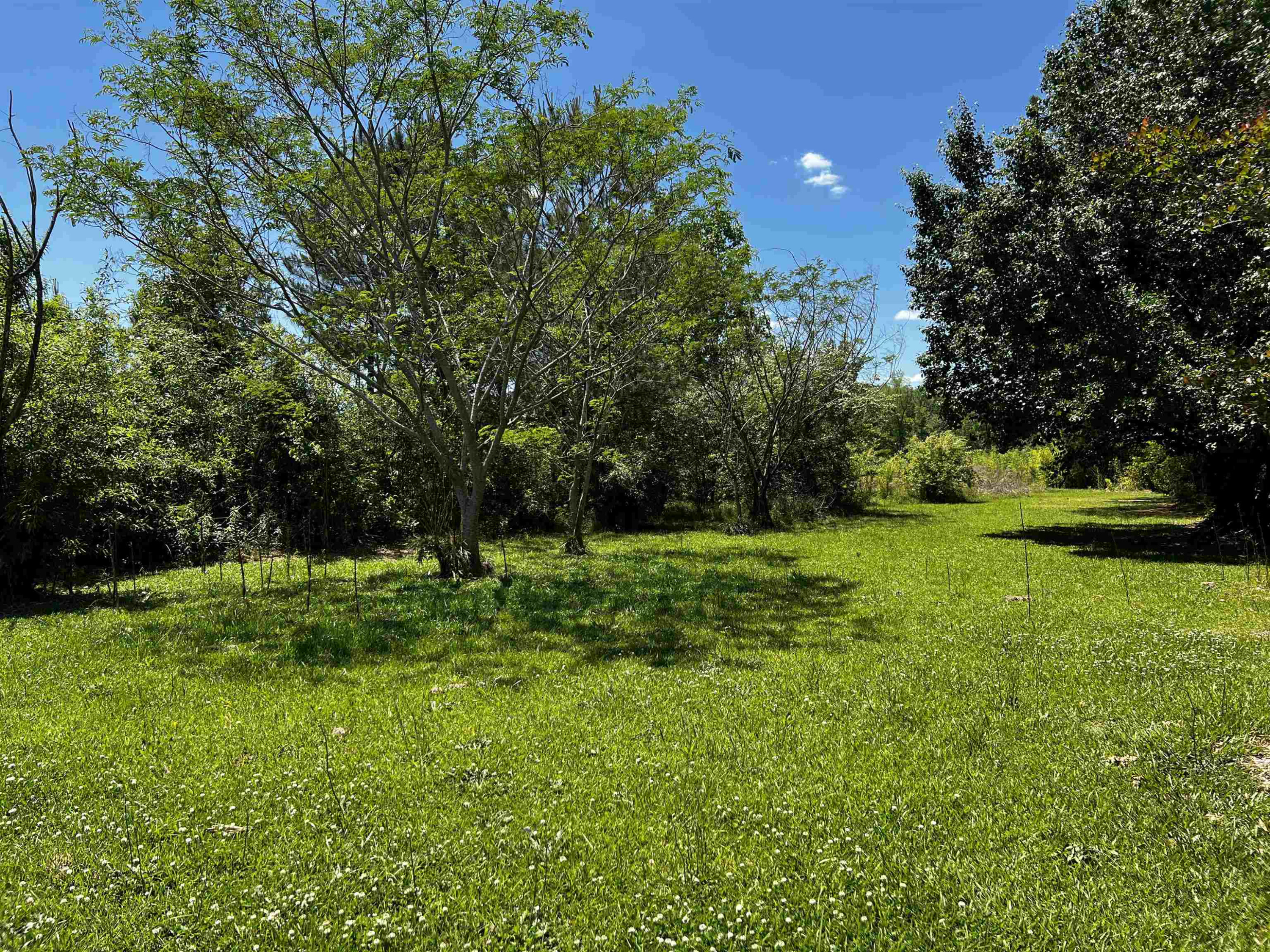 2527 Joel Johnson Road Lillington, NC 27546 - Photo 2 of 6 Photo 2