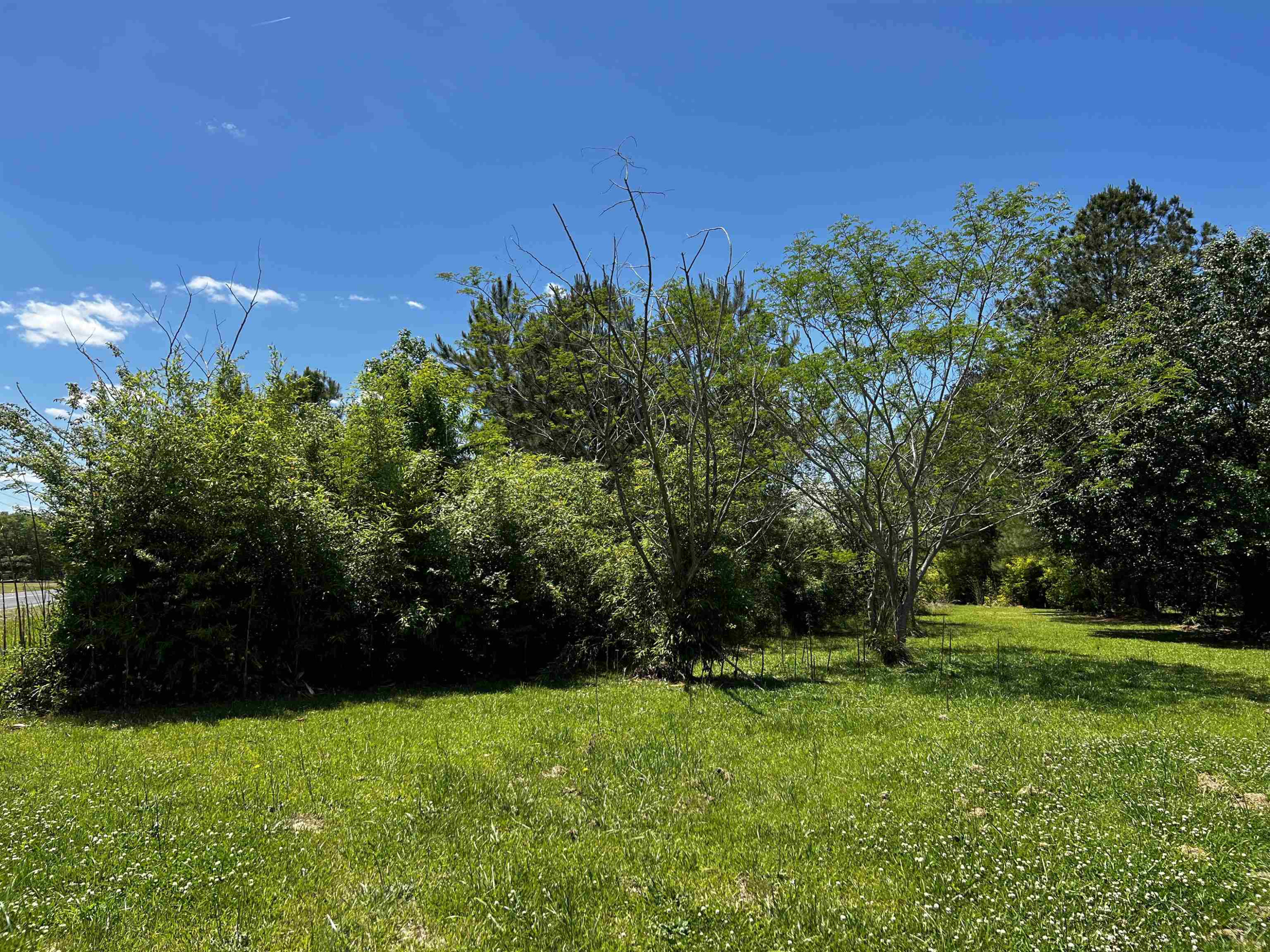 2527 Joel Johnson Road Lillington, NC 27546 - Photo 3 of 6 Photo 3