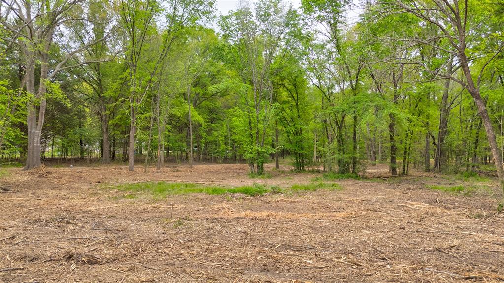 1411 Vz County Road 2139 Wills Point, TX 75169 - Photo 10 of 38