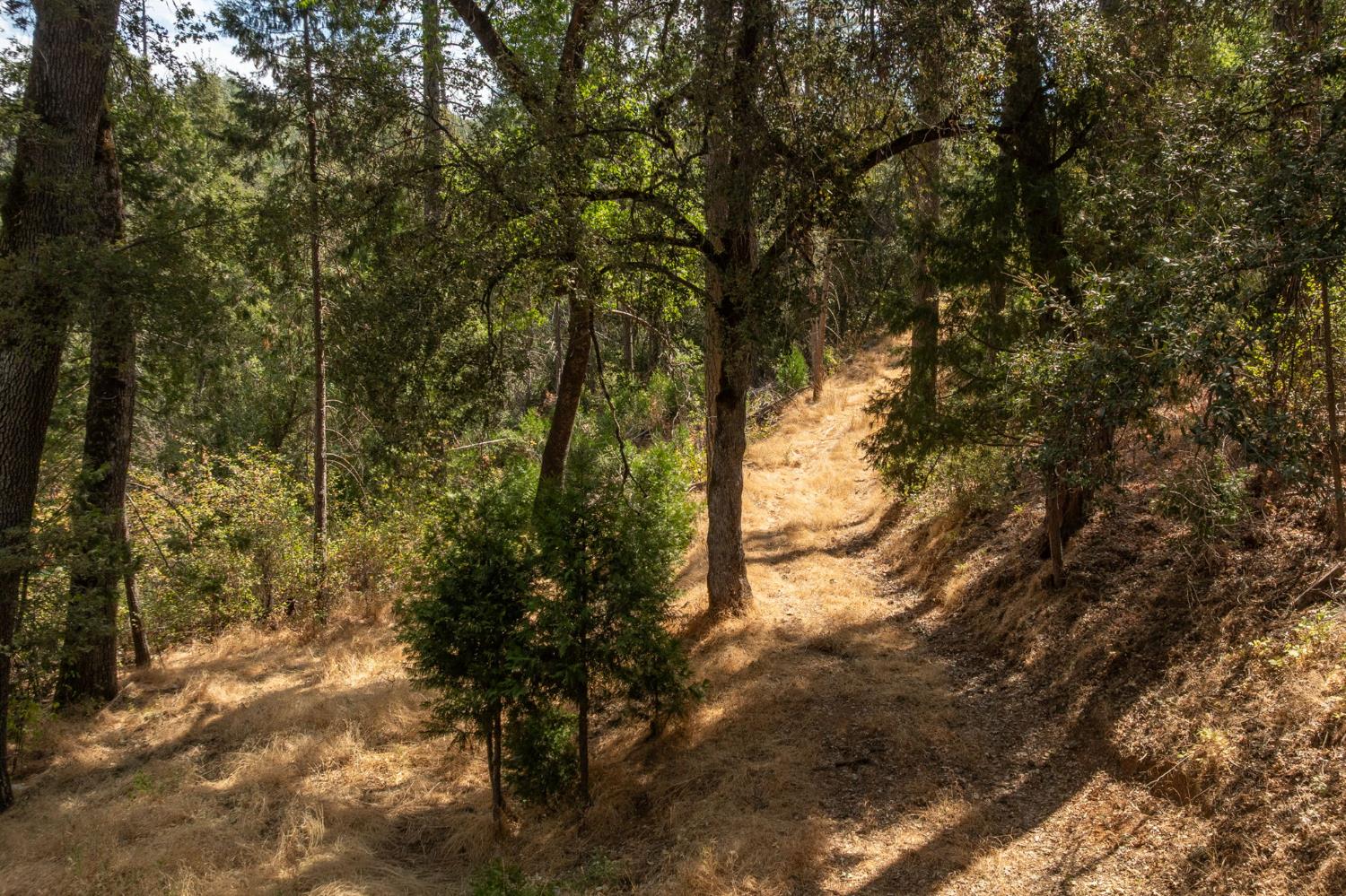 5057 Oak Road Midpines, CA 95345 - Photo 29 of 33 Gallery Image 29