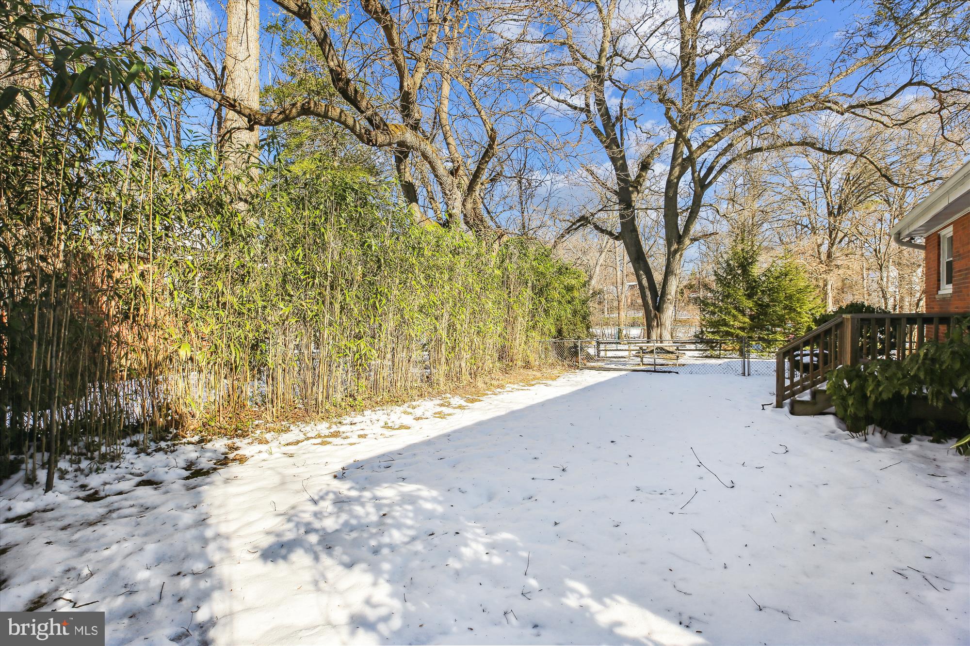 401 Greenbrier Drive Silver Spring, MD 20910 - Photo 49 of 57 a view of road and trees