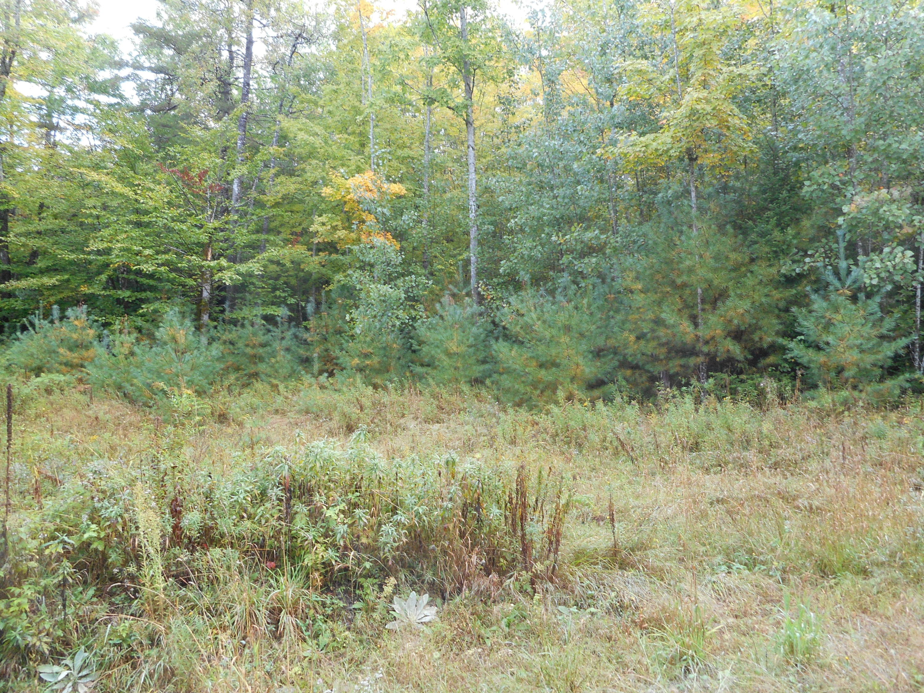 257 Etna Pond Road Carmel, ME 04419 - Photo 3 of 5 DSCN1448