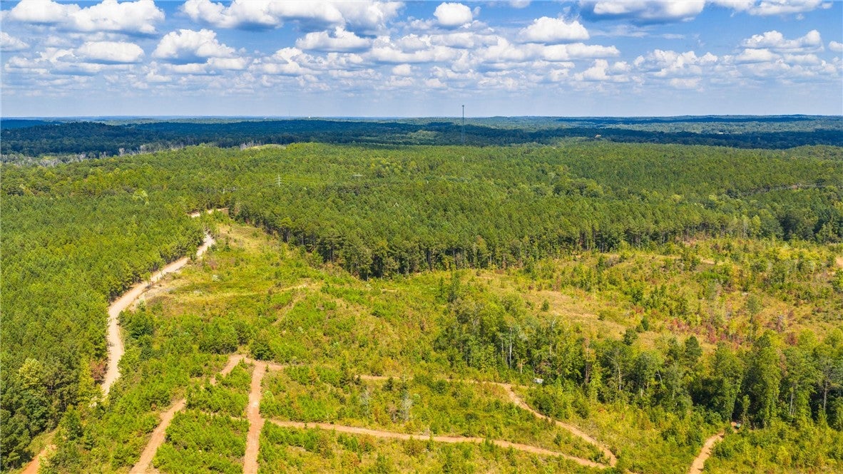 51-acres Madwind Road Jacksons Gap, AL 36861 - Photo 2 of 14 Gallery Image 2