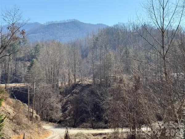 a view of a dry yard with mountains and large trees