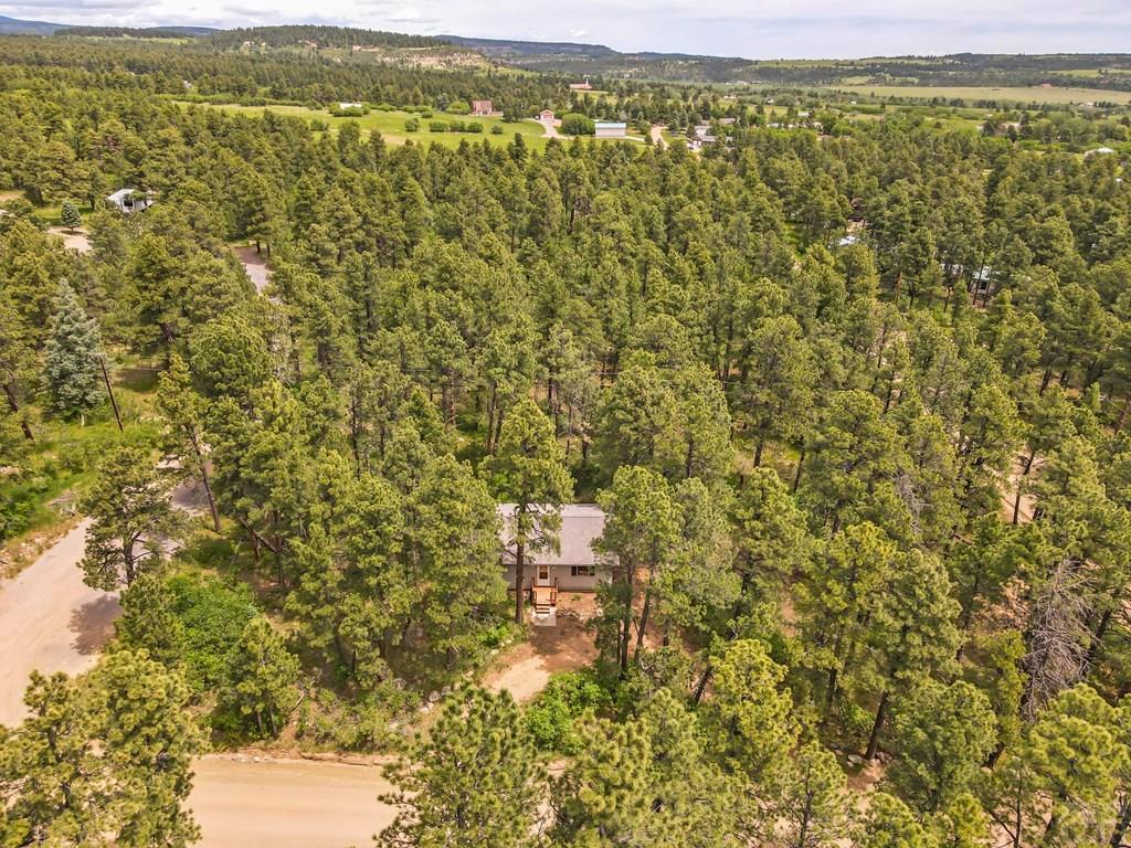 8155 Birch Drive Rye, CO 81069 - Photo 22 of 35 Gallery Image 22