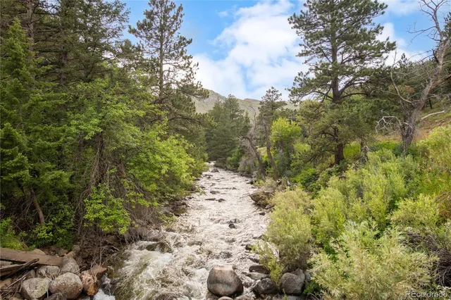 a view of a yard with plants and trees