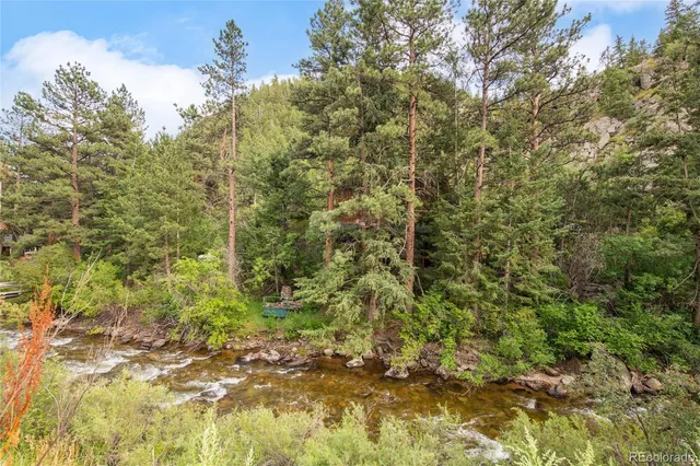 a backyard of a building with large trees