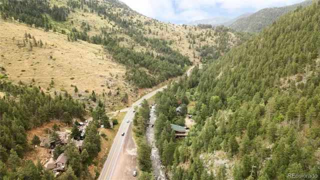 a view of a yard with large trees
