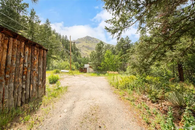 a view of a mountain range in a forest