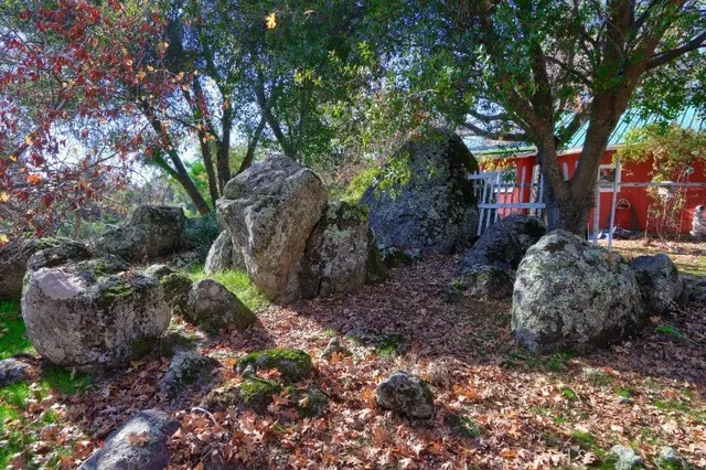 a view of a backyard with large trees
