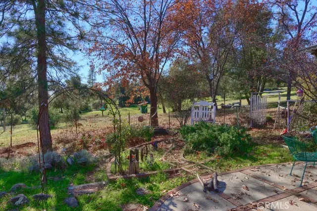 a view of a park with large trees