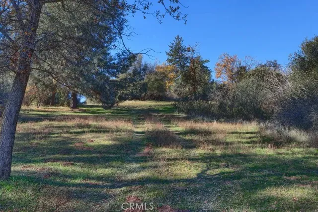 a view of a back yard