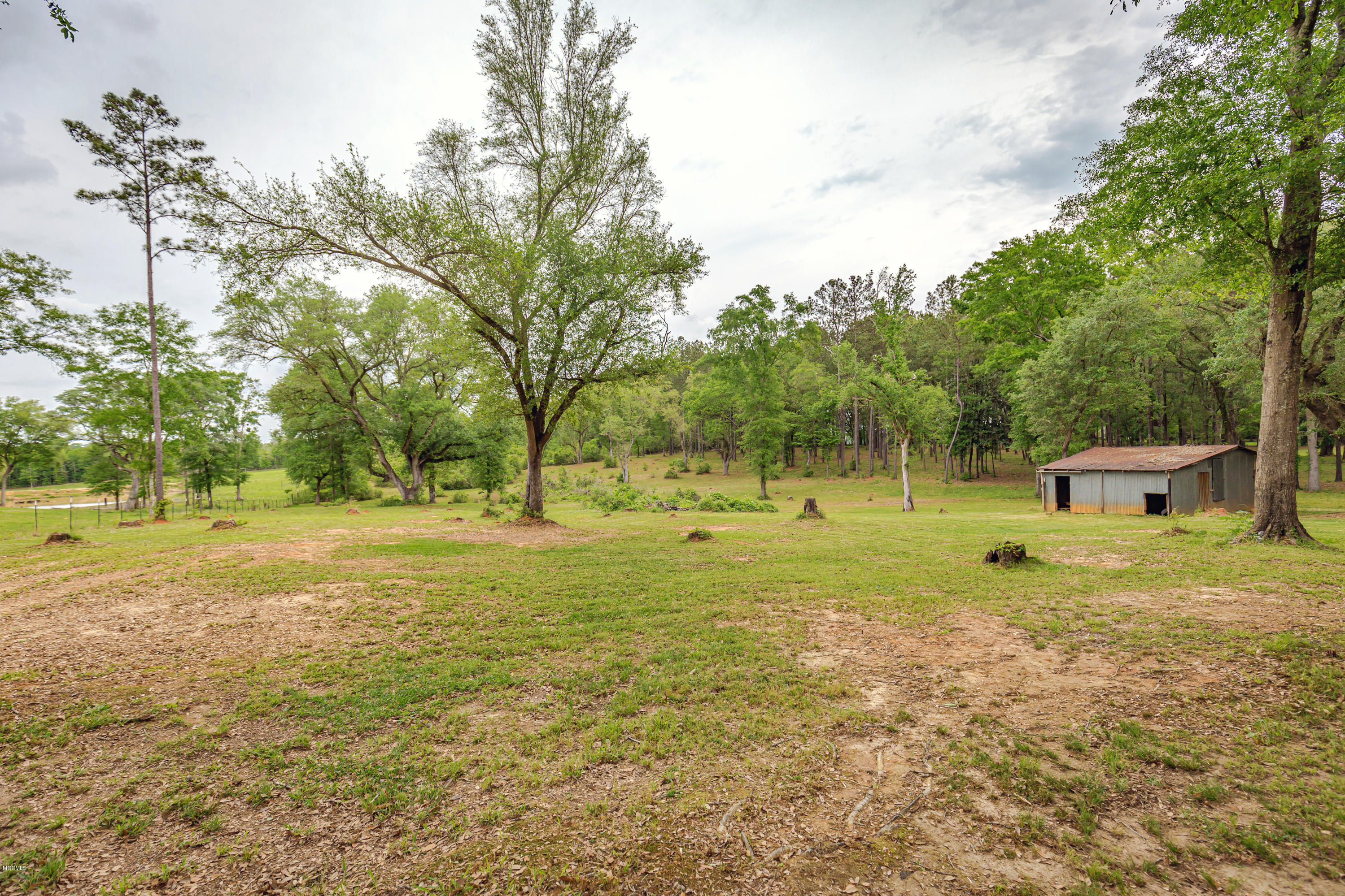 216 Mill St Extension Lucedale, MS 39452 - Photo 3 of 68 IMG_4411