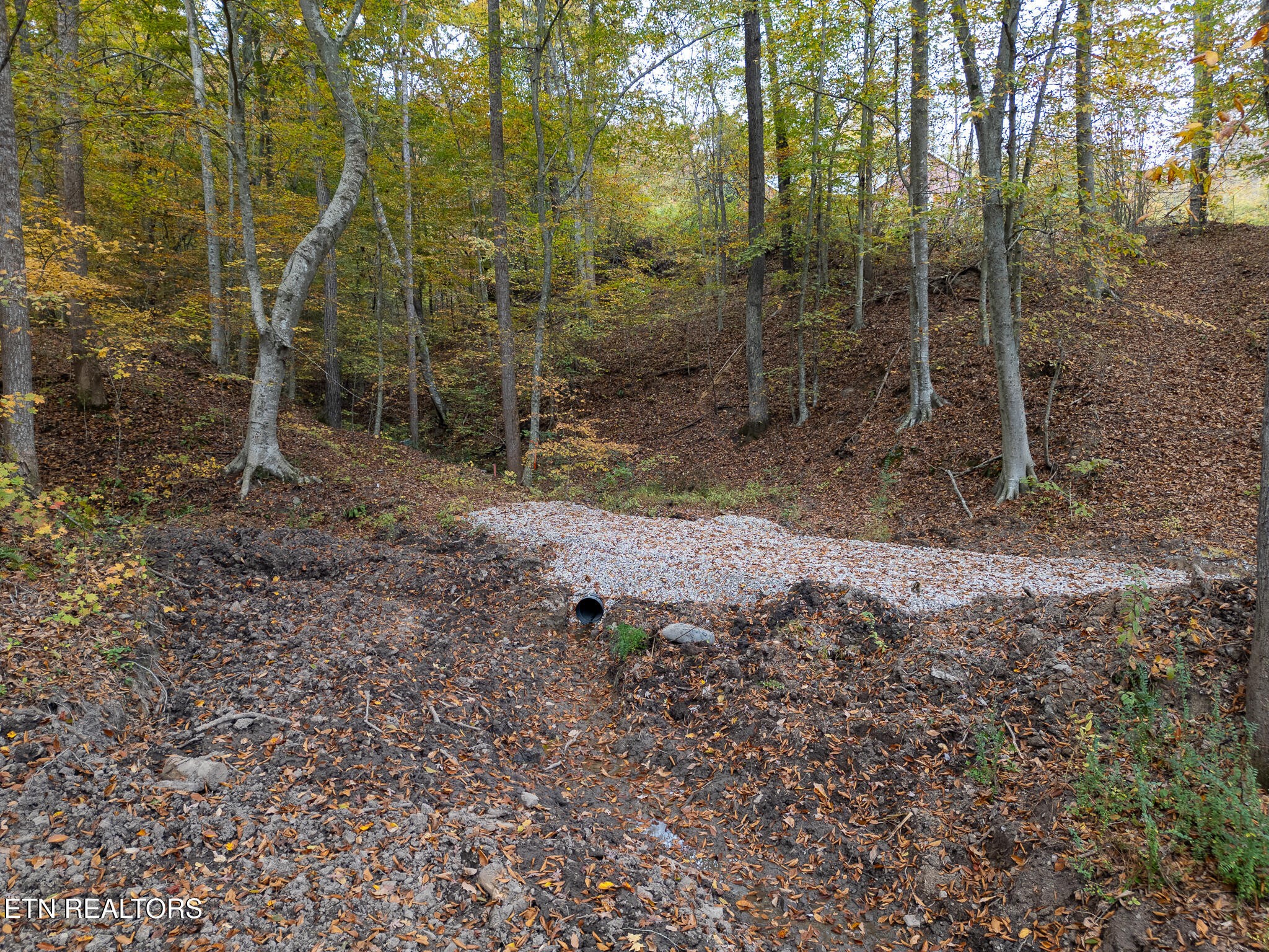 2 West Bullrun Valley Drive Heiskell, TN 37754 - Photo 2 of 12 a view of a forest filled with trees