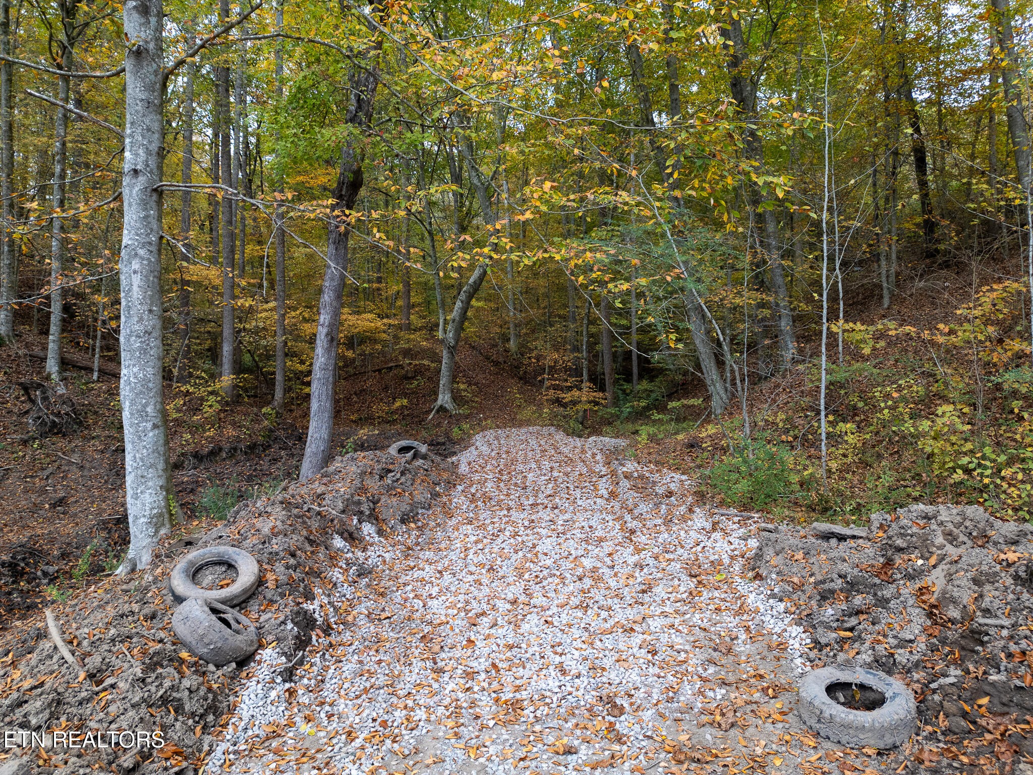 2 West Bullrun Valley Drive Heiskell, TN 37754 - Photo 4 of 12 a backyard of a house with lots of green space