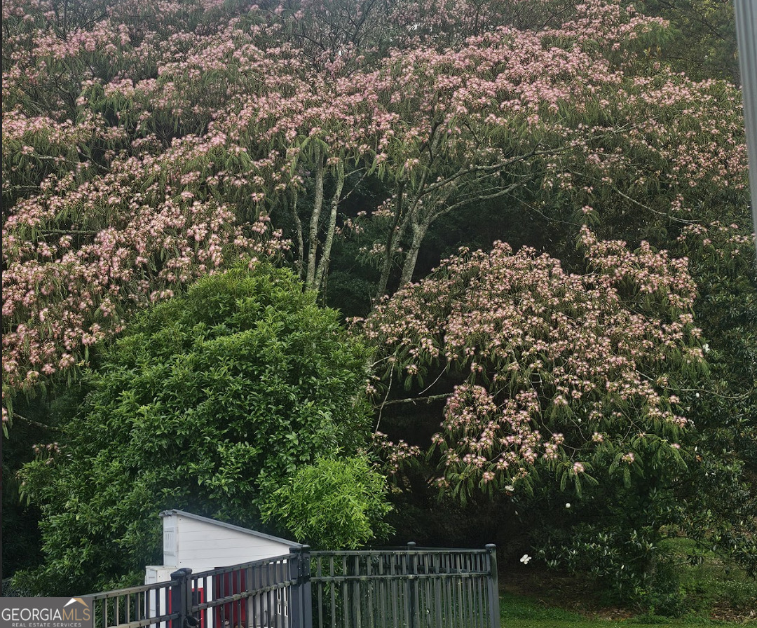 200 Chaparral Trace Tyrone, GA 30290 - Photo 51 of 52