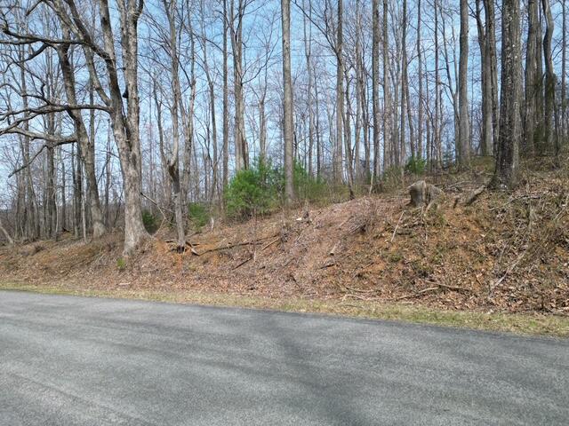0 Marshall Hill Road Ferrum, VA 24088 - Photo 1 of 5 4.44 ACRES