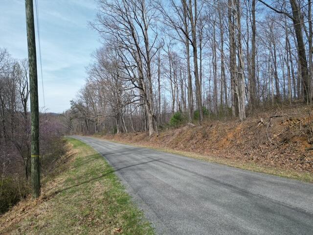 0 Marshall Hill Road Ferrum, VA 24088 - Photo 3 of 5 State Road Frontage