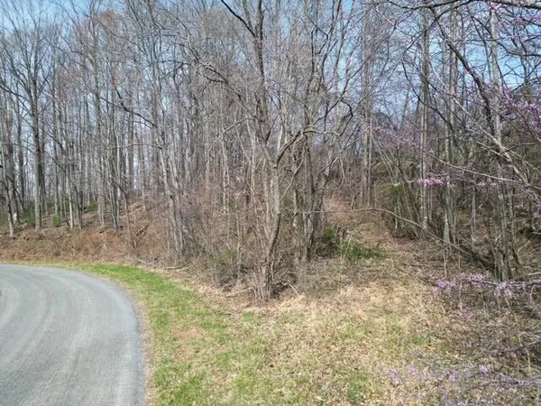 a view of a yard with trees in the background